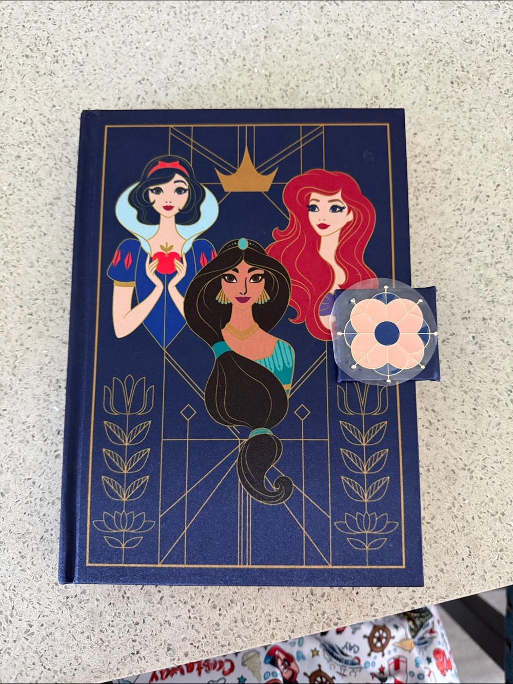 Disney Princess 5x7 Journal